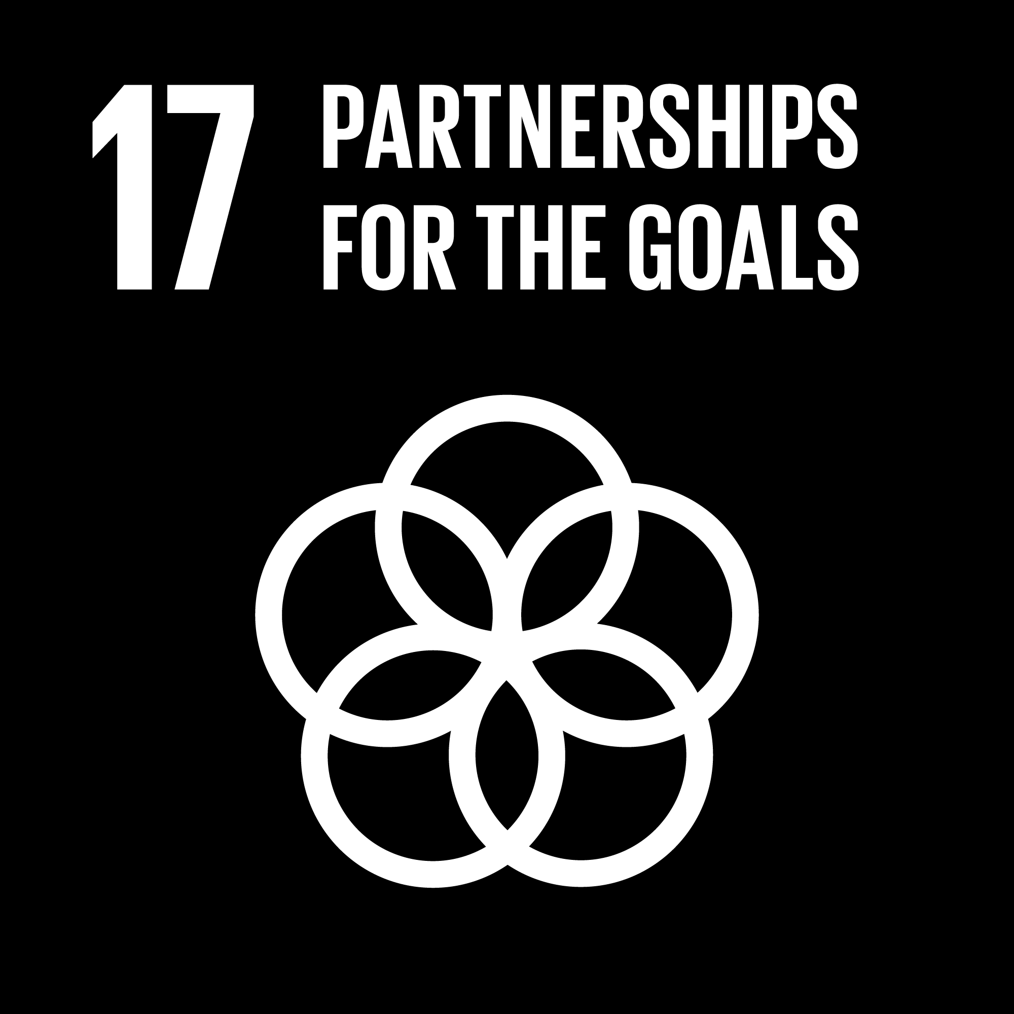 Sustainable Development Goals - 17 - Partnership For The Goals