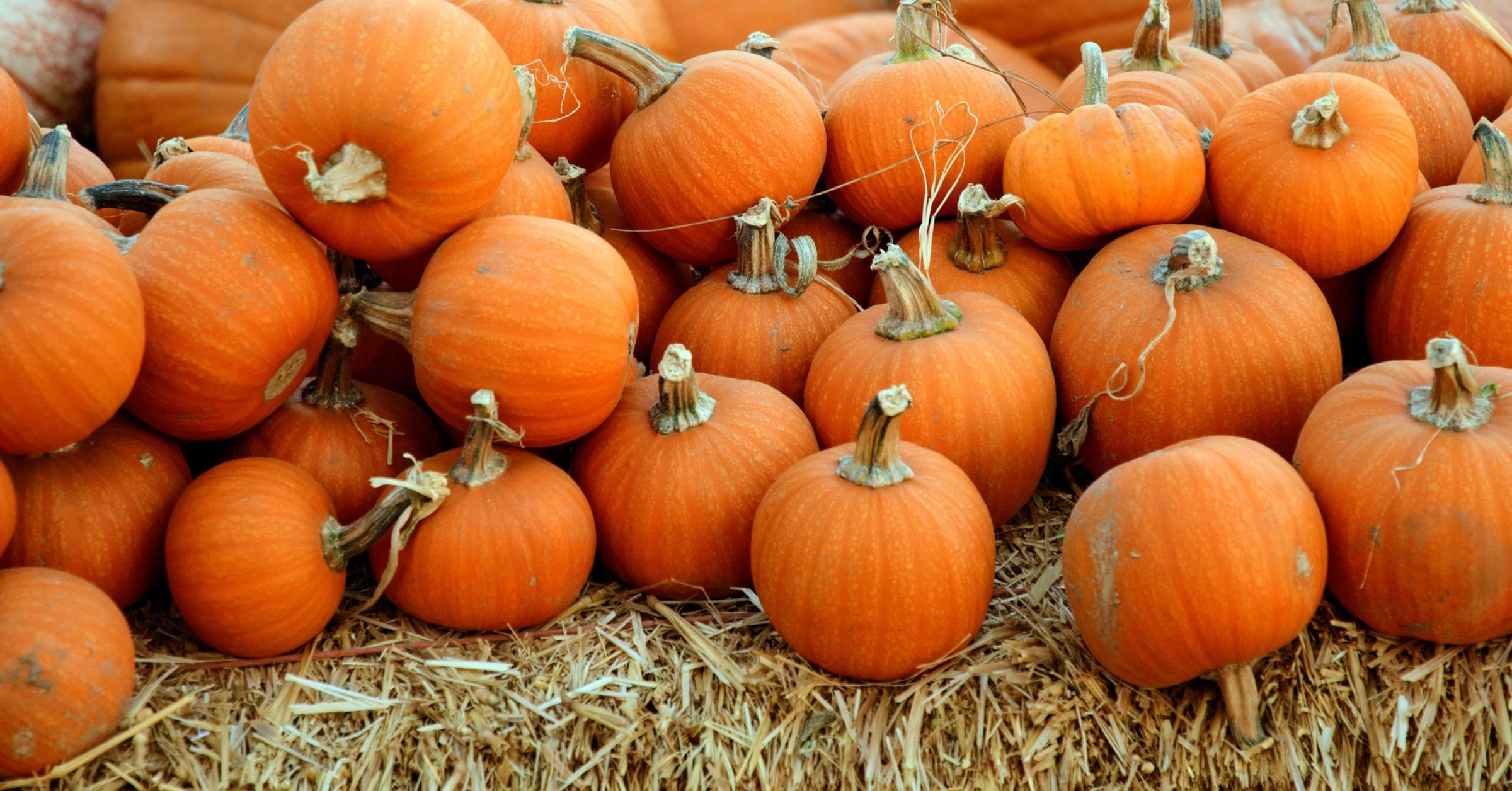 A sustainable Halloween - Sustainable Halloween blog cover image