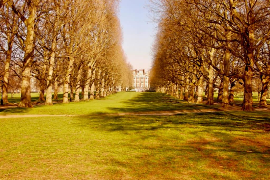 Green Park | Ethical Brand Directory Blog | Best Parks in London for Outdoor Socialising