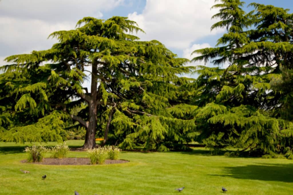 Greenwich | Ethical Brand Directory Blog | Best Parks in London for Outdoor Socialising
