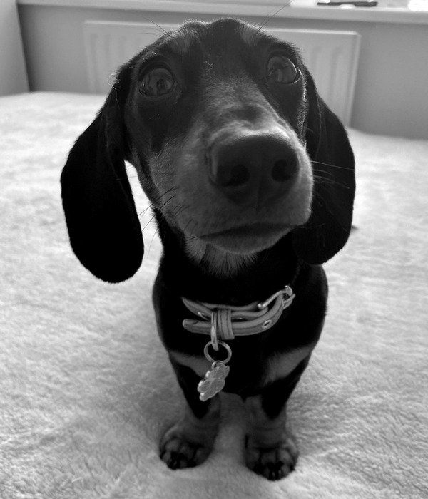 Penelope Lee, Team Mascot